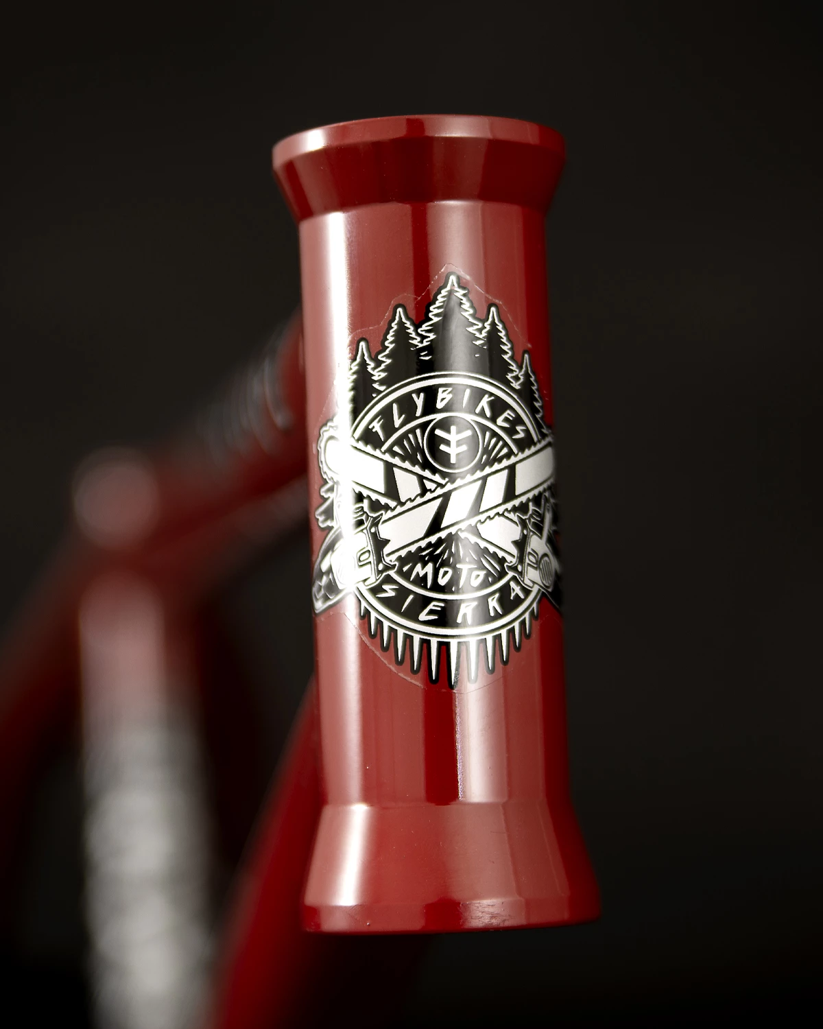 CADRE FLYBIKES MOTOSIERRA GLOSS DARK RED – Image 2