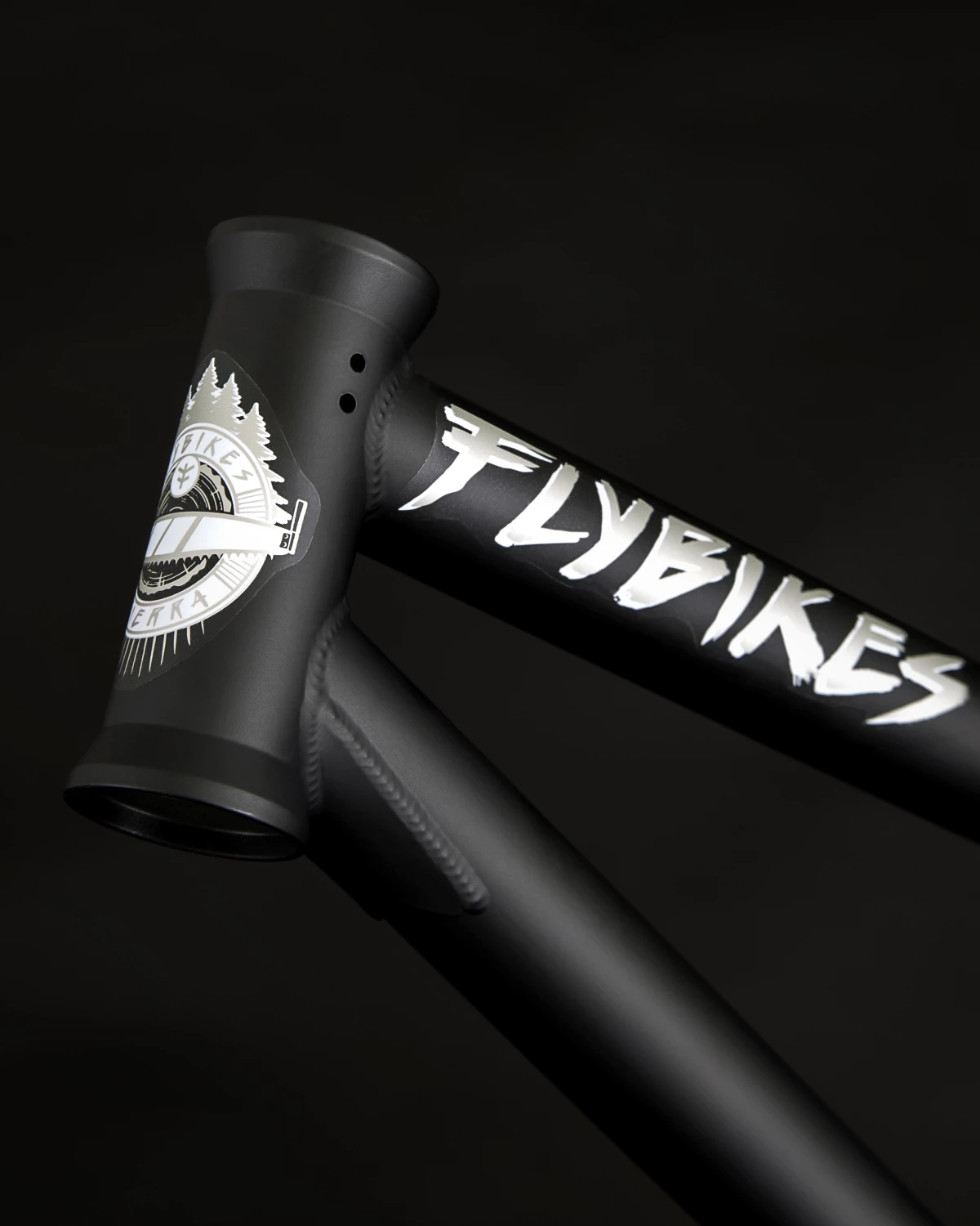 CADRE FLYBIKES SIERRA FLAT BLACK â Image 2